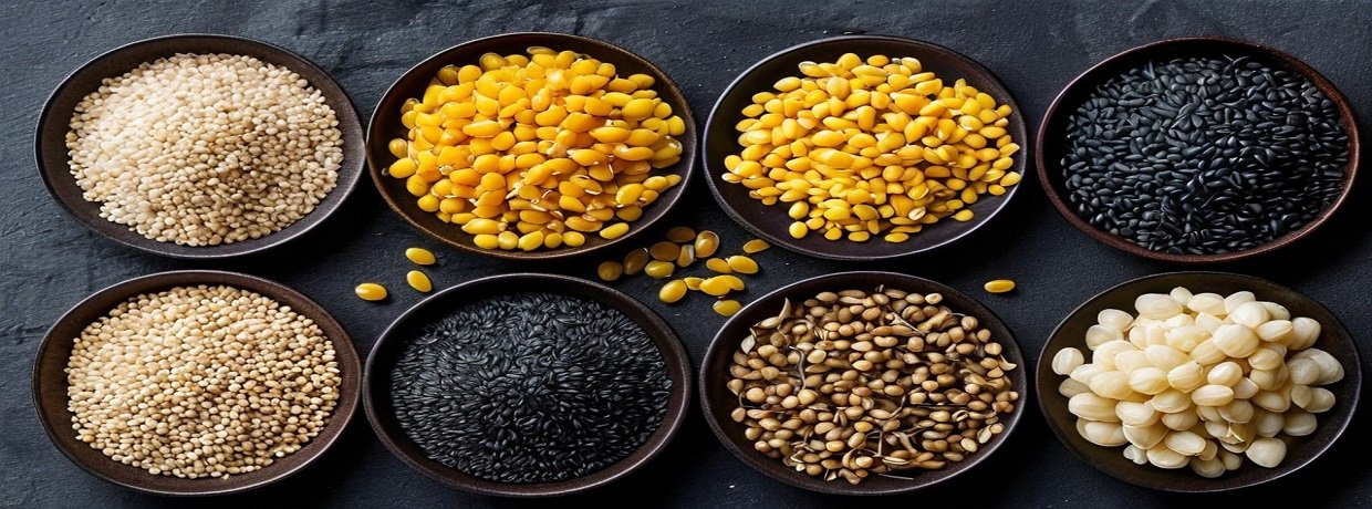 AAMASA OVERSEAS PVT LTD