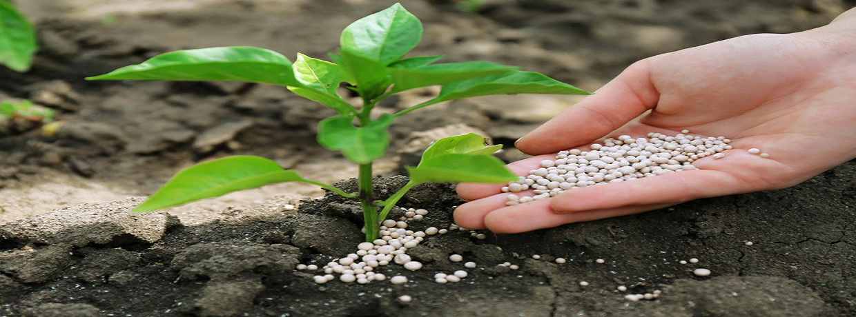 Joshi Agrochem Pharma Pvt. Ltd.
