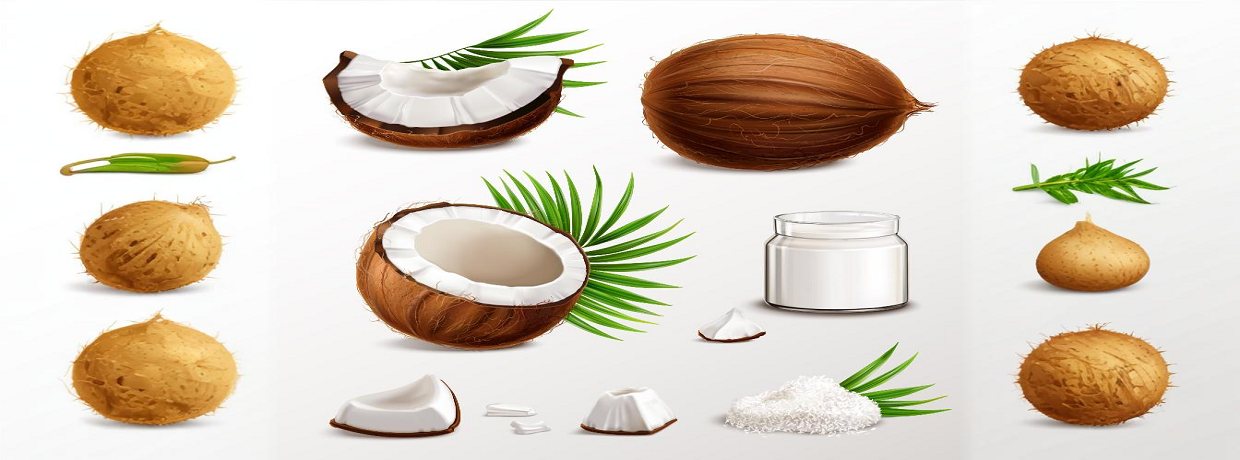 Sri Venkateswara Coconut Industry