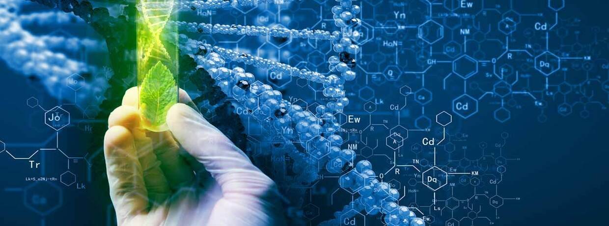 Nadhera Biotech