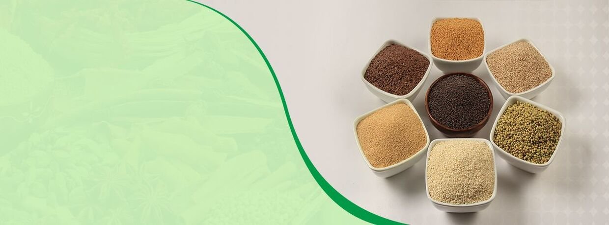 Danodia Foods