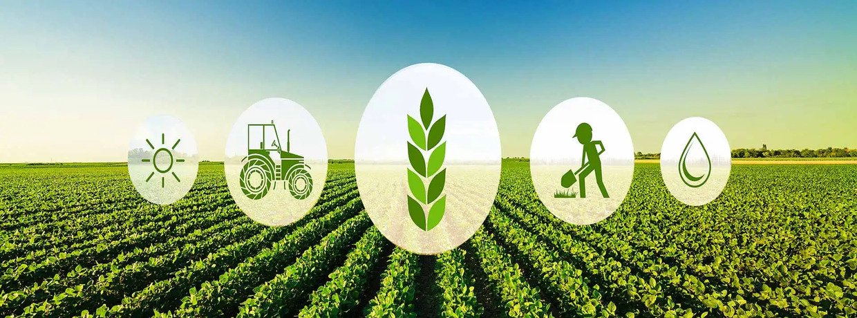 Marathwada Agricultural Research Institute