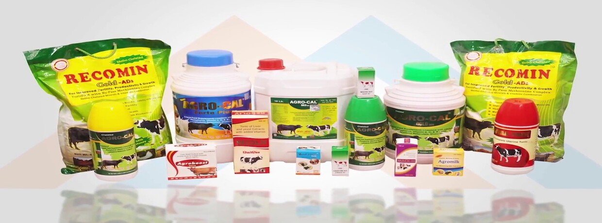 Shree Salasar Balaji Industries