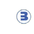 Banka International logo