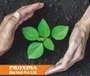 Proxima Bio Tech Private Limited