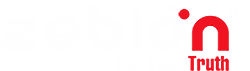 Zebion Infotech Pvt Ltd logo