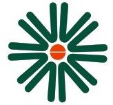 Varun Medicals logo