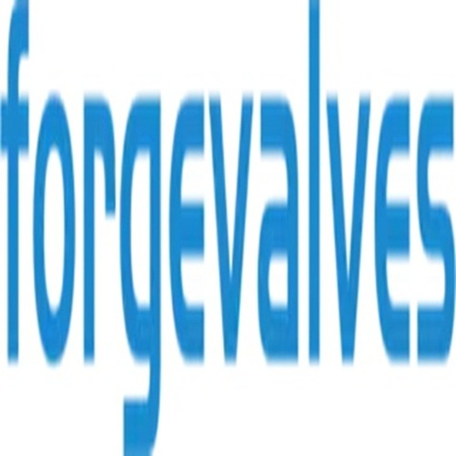 China Forged Valves Co., Ltd. logo