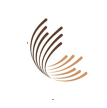 SPLENDID STAR INDIA PVT LTD