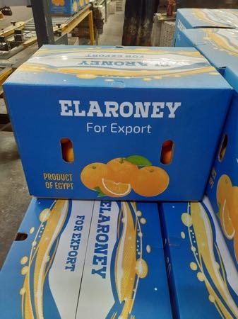 Elaroney For Export