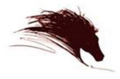 Stallion Envirocare Systems