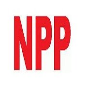 Npp Power (Vietnam) Co., Ltd logo