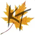 Kashmir Treasuries