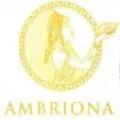 Ambriona Cacao Blends Private Limited - Products & Services