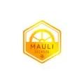 Mauli Techsol