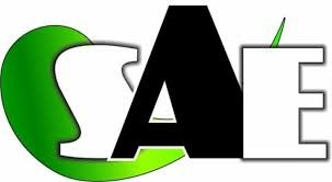 Shree Ambika Minerals logo
