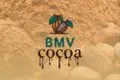 B M V International