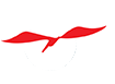 SKYLORD EXPORTS PVT. LTD.