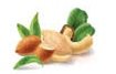 TMA HEALTHY DRYFRUITS PVT. LTD.