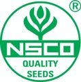 Nirankari Seeds Company Pvt. Ltd. logo