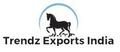 Trendz Exports (India) logo